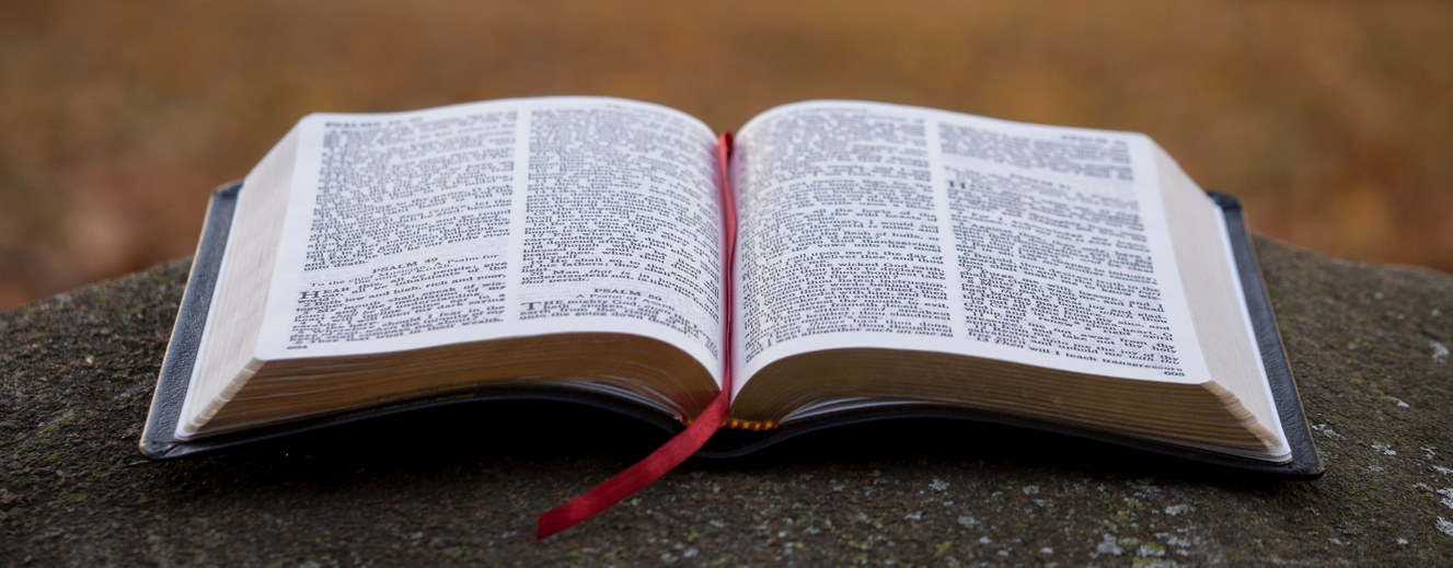 Bible Lessons